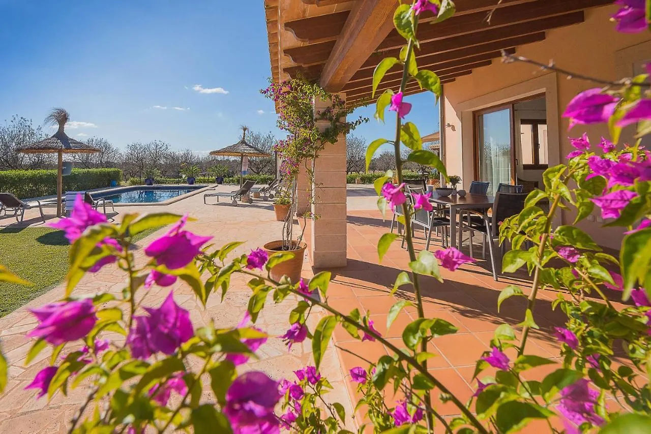 Finca Ses Figueretes Villa Felanitx