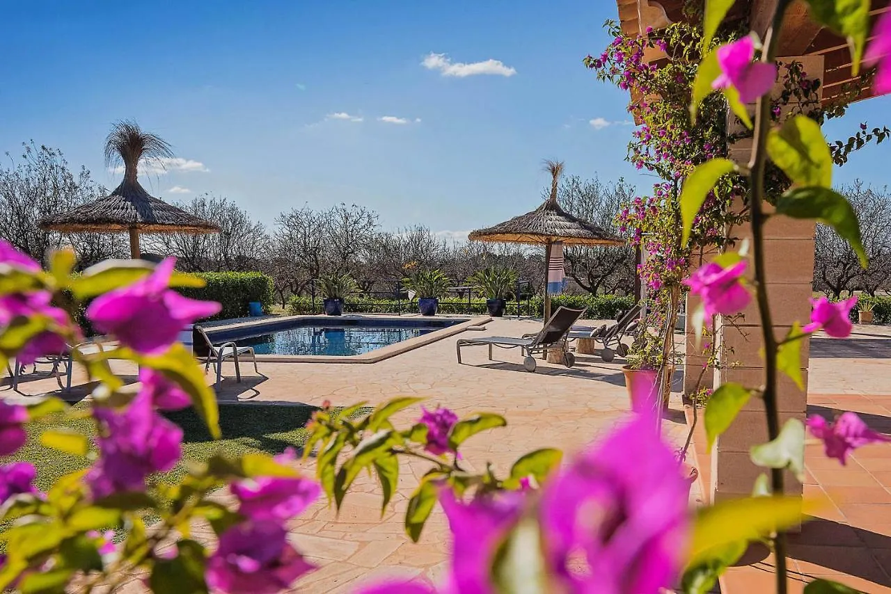 Finca Ses Figueretes Villa Felanitx